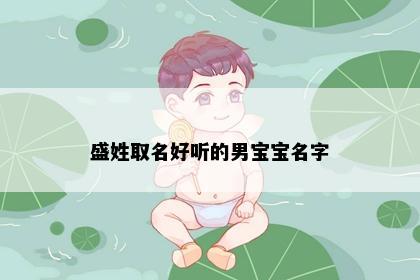 盛姓取名好听的男宝宝名字