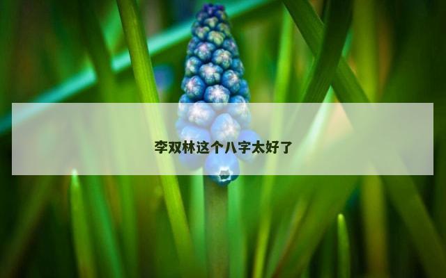 李双林这个八字太好了