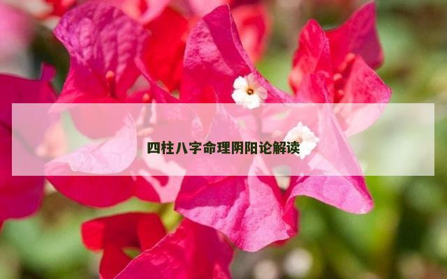 四柱八字命理阴阳论解读