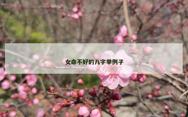 女命不好的八字举例子