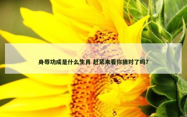 身辱功成是什么生肖 赶紧来看你猜对了吗？