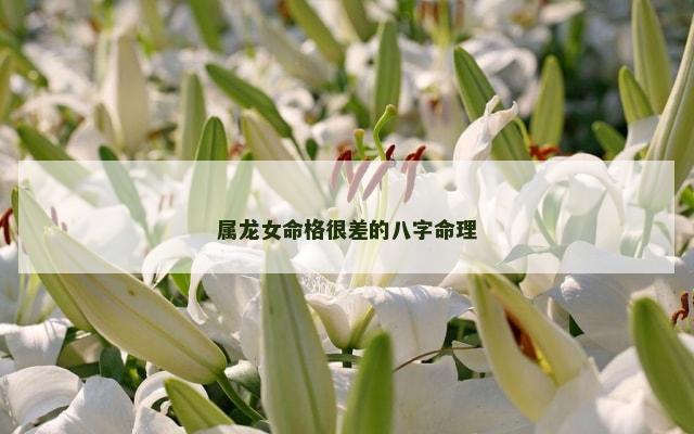 属龙女命格很差的八字命理