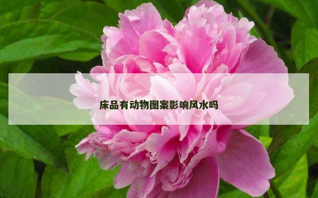 床品有动物图案影响风水吗