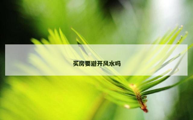 买房要避开风水吗