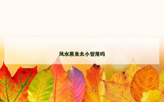 风水黑鱼太小管用吗