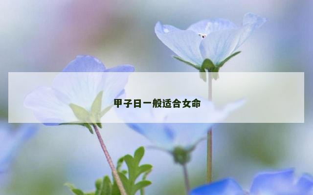 甲子日一般适合女命