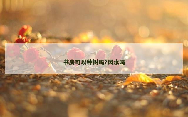 书房可以种树吗?风水吗