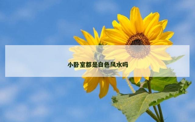 小卧室都是白色风水吗