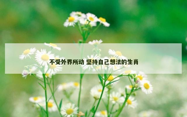 不受外界所动 坚持自己想法的生肖
