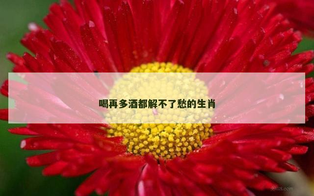 喝再多酒都解不了愁的生肖