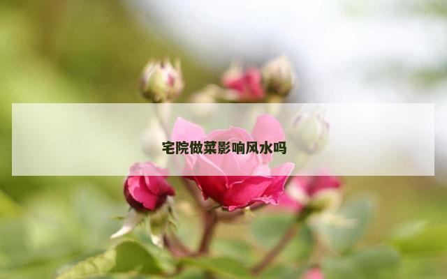宅院做菜影响风水吗