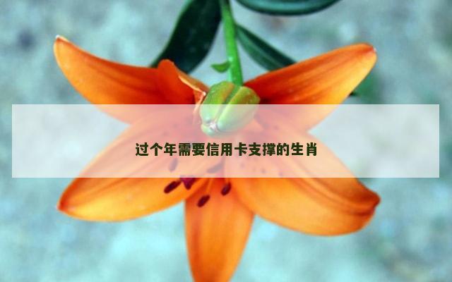 过个年需要信用卡支撑的生肖