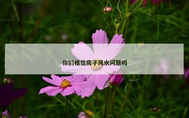 你们相信房子风水问题吗