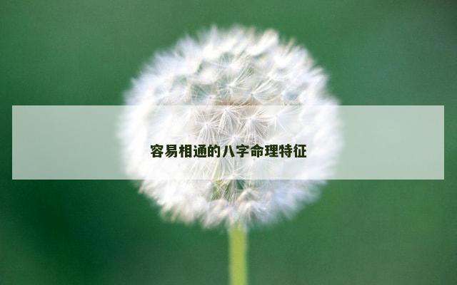 容易相通的八字命理特征