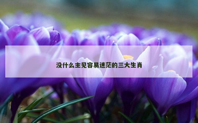 没什么主见容易迷茫的三大生肖
