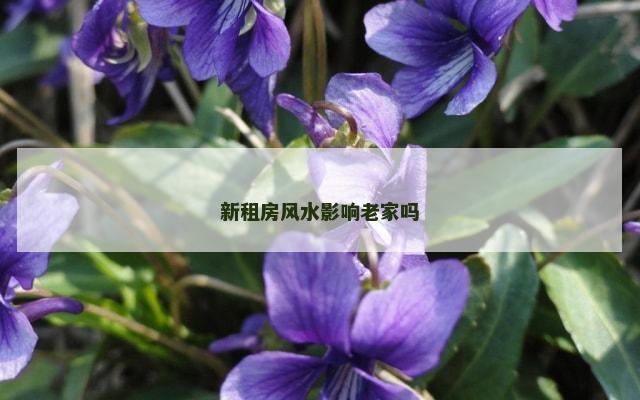 新租房风水影响老家吗