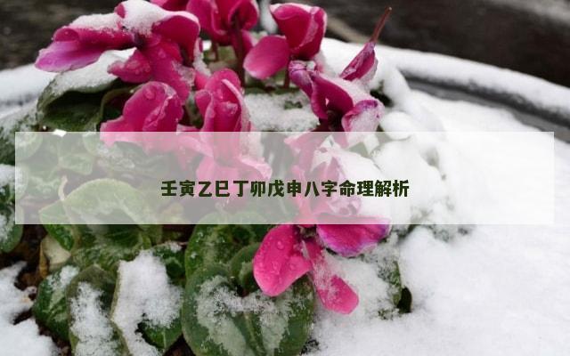 壬寅乙巳丁卯戊申八字命理解析