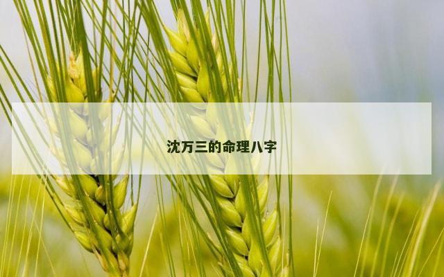 沈万三的命理八字