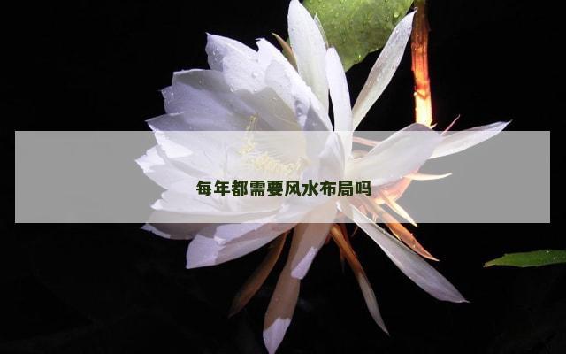 每年都需要风水布局吗