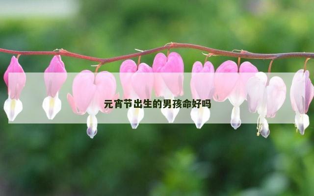元宵节出生的男孩命好吗