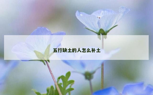 五行缺土的人怎么补土