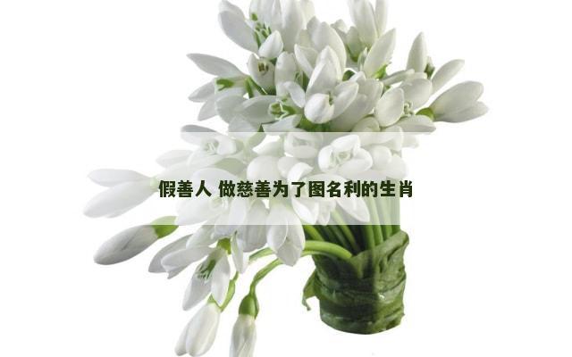 假善人 做慈善为了图名利的生肖