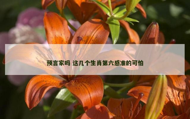 预言家吗 这几个生肖第六感准的可怕