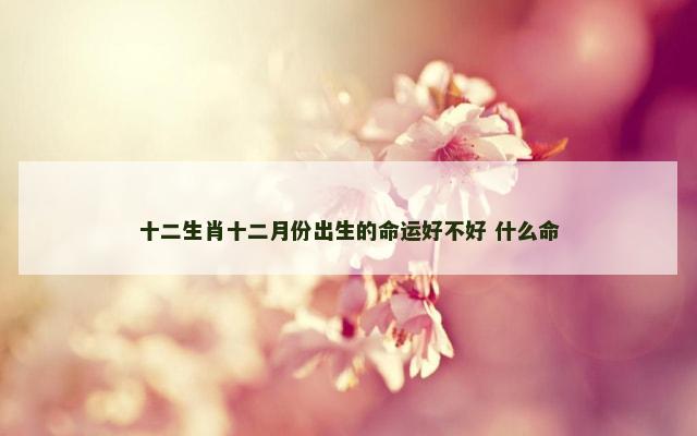 十二生肖十二月份出生的命运好不好 什么命