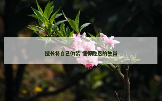 擅长将自己伪装 懂得隐忍的生肖