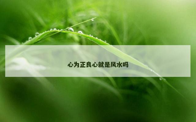 心为正良心就是风水吗
