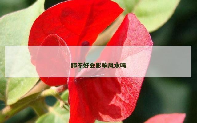 肺不好会影响风水吗