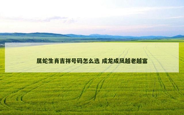 属蛇生肖吉祥号码怎么选 成龙成凤越老越富
