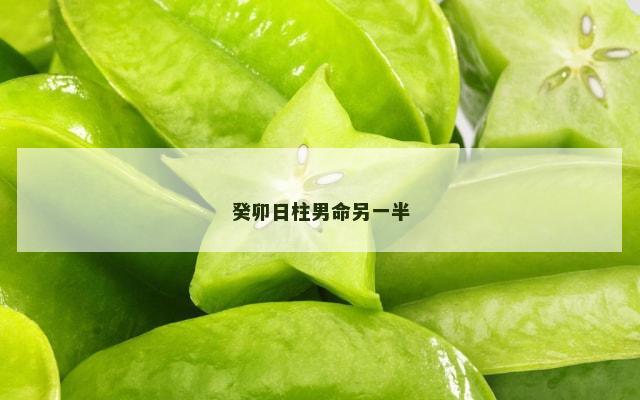 癸卯日柱男命另一半