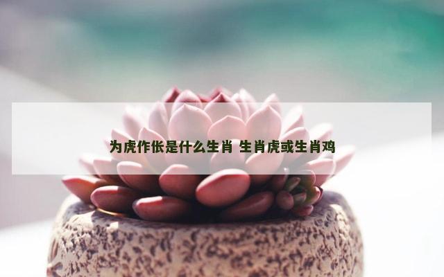 为虎作伥是什么生肖 生肖虎或生肖鸡