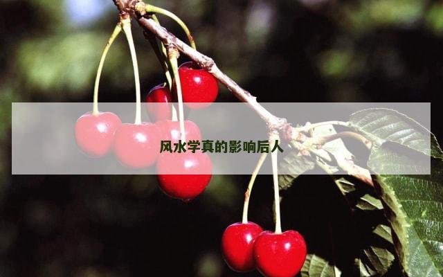 风水学真的影响后人