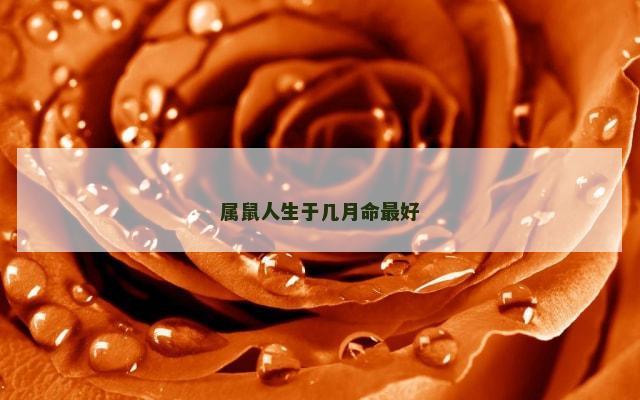 属鼠人生于几月命最好