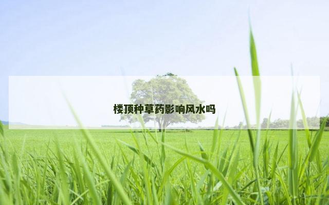 楼顶种草药影响风水吗