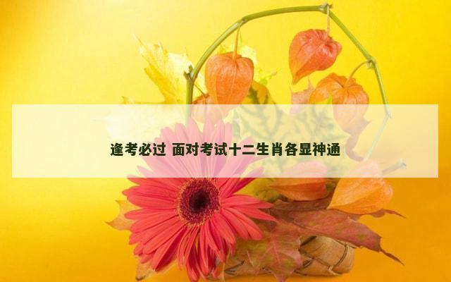 逢考必过 面对考试十二生肖各显神通