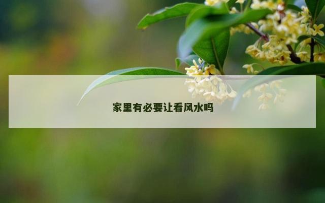 家里有必要让看风水吗