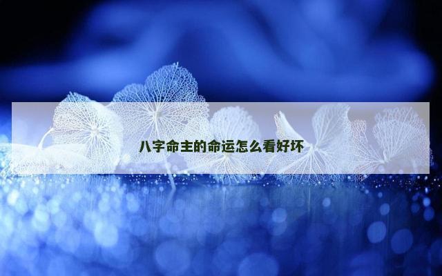八字命主的命运怎么看好坏