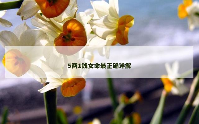 5两1钱女命最正确详解