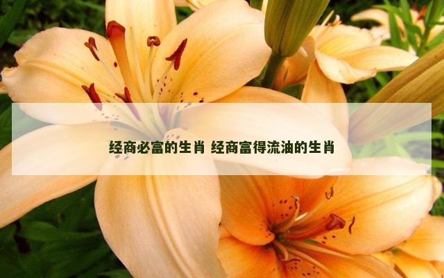 经商必富的生肖 经商富得流油的生肖