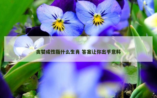 贪婪成性指什么生肖 答案让你出乎意料
