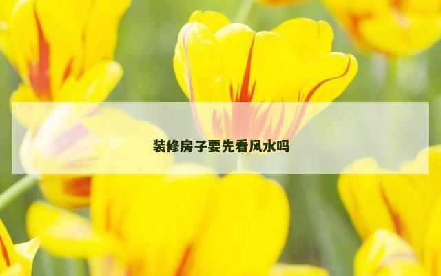 装修房子要先看风水吗