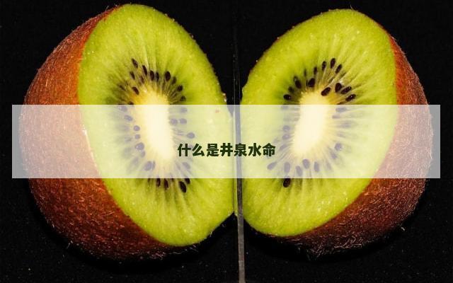 什么是井泉水命