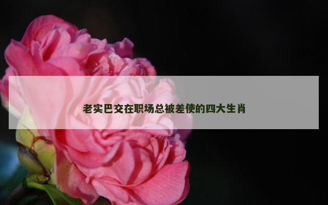 老实巴交在职场总被差使的四大生肖