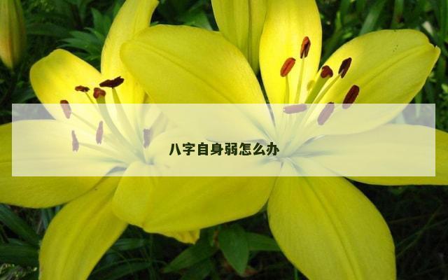 八字自身弱怎么办