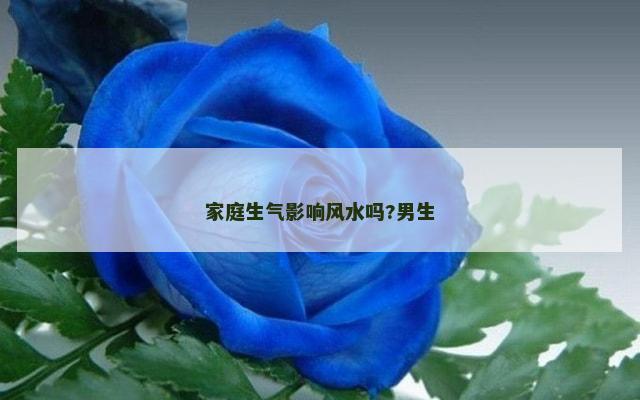 家庭生气影响风水吗?男生
