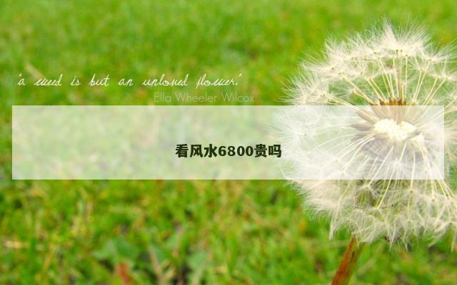 看风水6800贵吗