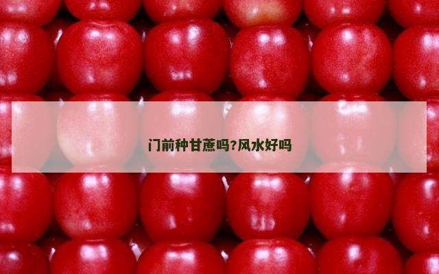 门前种甘蔗吗?风水好吗